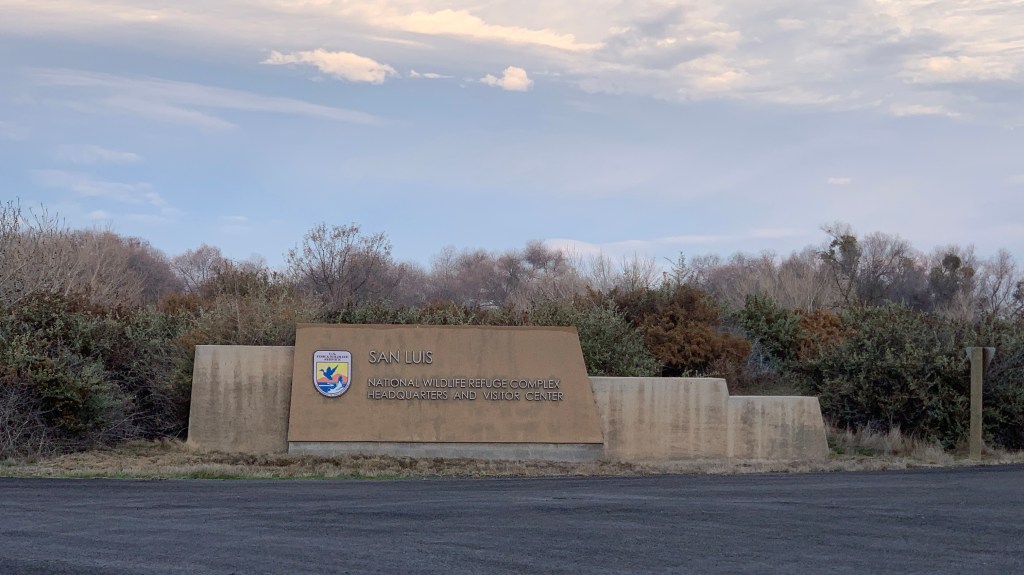 The Quest Begins – 1/4/2021