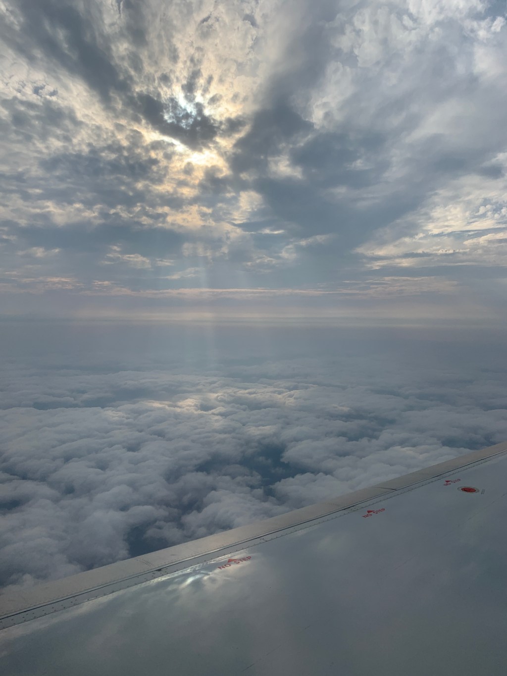 The Great South Texas Birding Adventure&nbsp;Begins