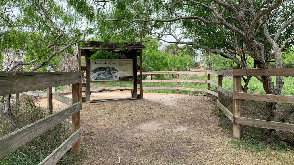 Baa Baa Sheepshead, Have you any&nbsp;birds?