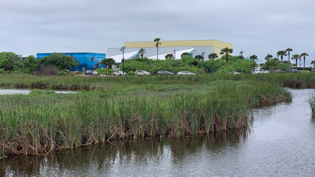 A Convention Center for Birds and&nbsp;Birders