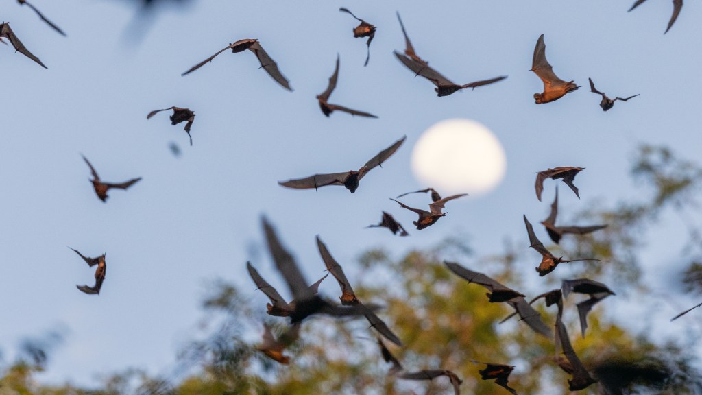 Holy Batcave –&nbsp;Batman