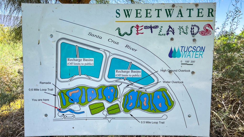 Operation PhotoTrogon Stop #2 – Tucson’s Sweetwater&nbsp;Wetlands