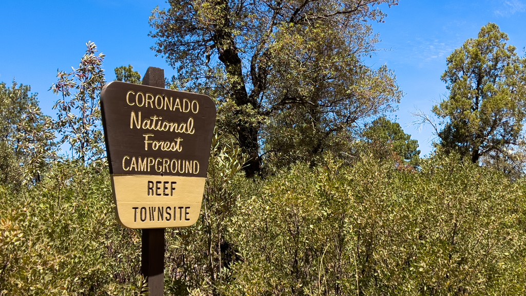 Operation PhotoTrogon Stop #6 – Carr&nbsp;Canyon