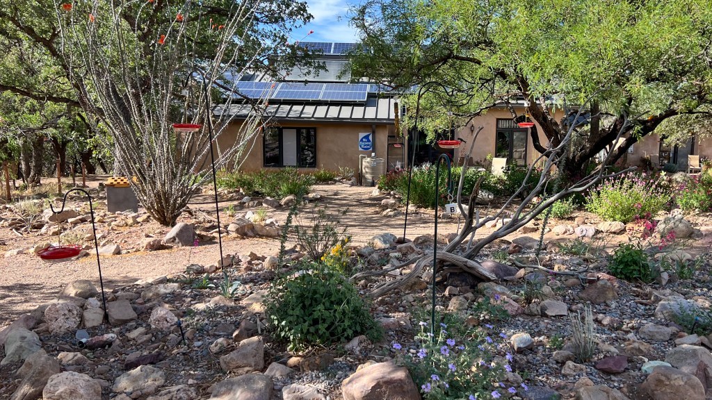 Operation PhotoTrogon Stop #7 – Ash Canyon Bird Sanctuary&nbsp;Redux