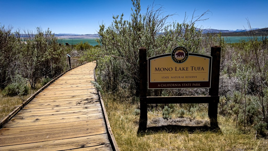Rosy-Finch Rendezvous: Stop 3 – Mono Lake County&nbsp;Park