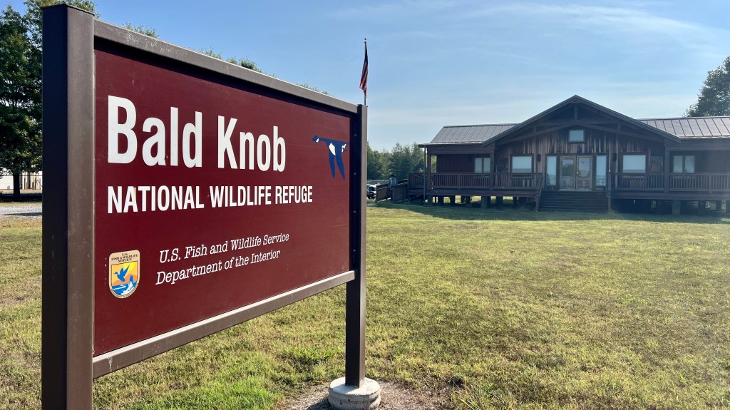 Bald Knob NWR