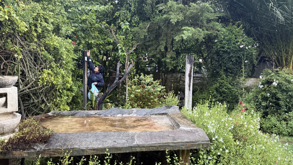 A person in a black jacket reaching for a branch in a lush garden with various plants and a stone table.