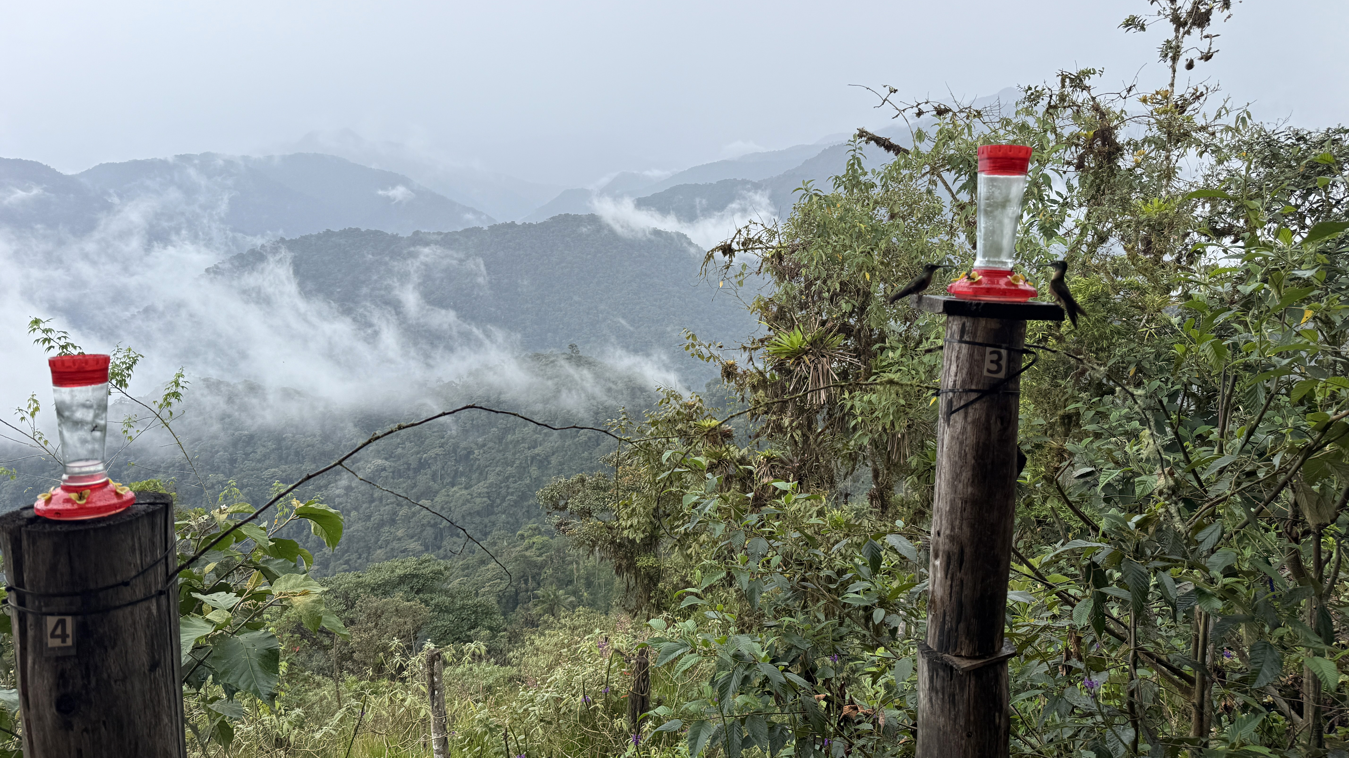View from the Guaycapi Lodge