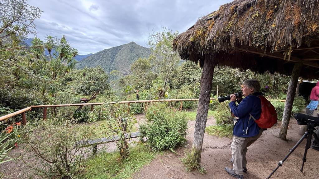 A visitor takes photos of the scenic landscape from a wooden observation deck, surrounded by lush greenery and mountains under a cloudy sky.