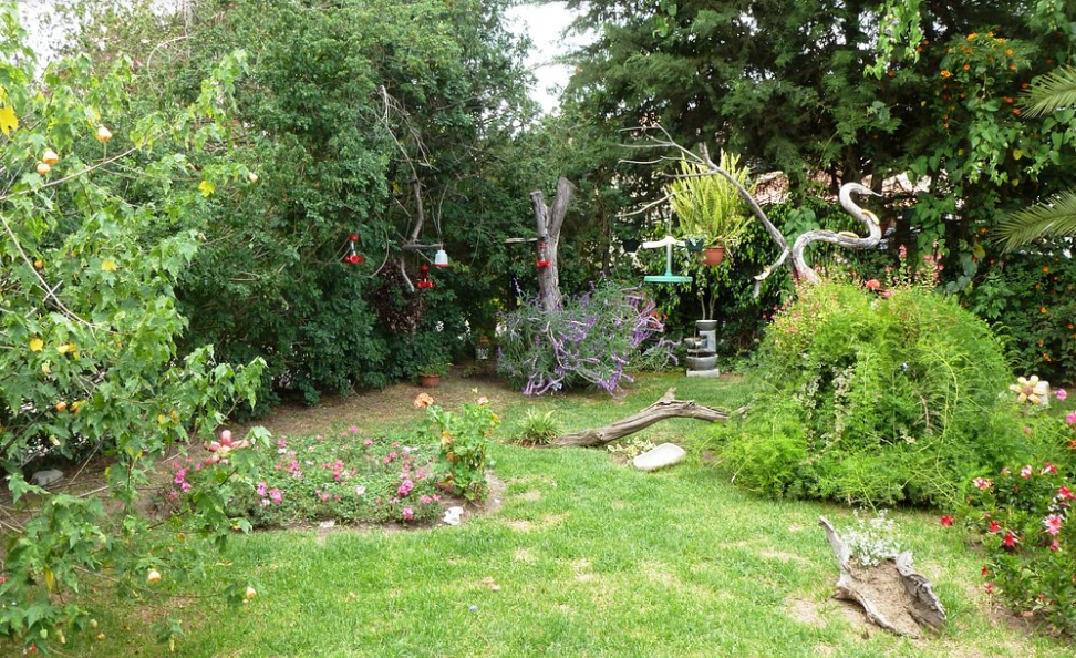 Lush garden with various plants, including trees and colorful flowers, featuring a decorative sculpture and bird feeders.