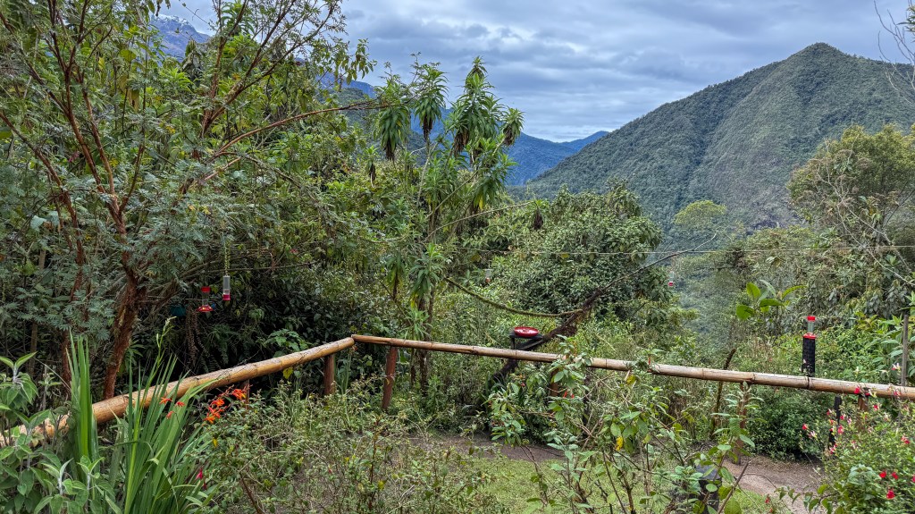A scenic view of lush greenery and mountains under a cloudy sky, featuring a wooden railing with hummingbird feeders amidst vibrant plants.