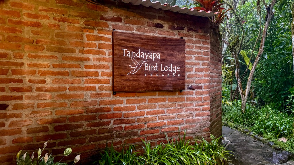Sign for Tandayaypa Bird Lodge in Ecuador, mounted on a rustic brick wall surrounded by lush greenery.