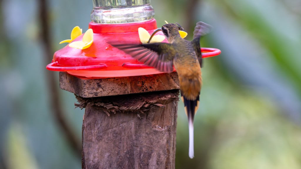 A hummingbird hovering near a red feeder adorned with yellow flowers, positioned on a wooden post with a blurred green background.