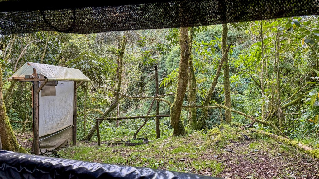 A view of a forested area with a small shelter and wooden structure amidst lush green vegetation and trees.