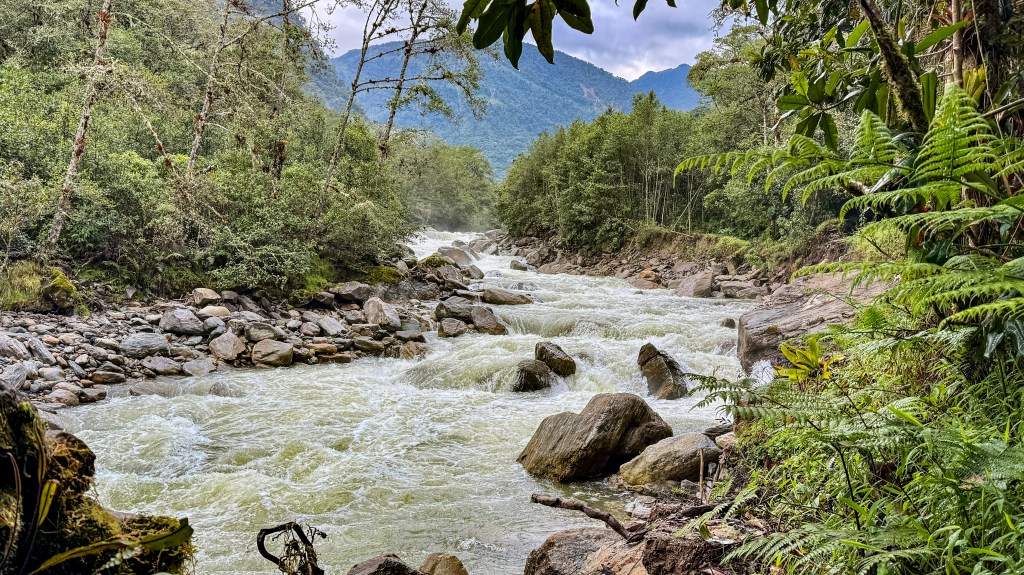 A rocky river flowing through a lush forested area, with mountains visible in the background.
