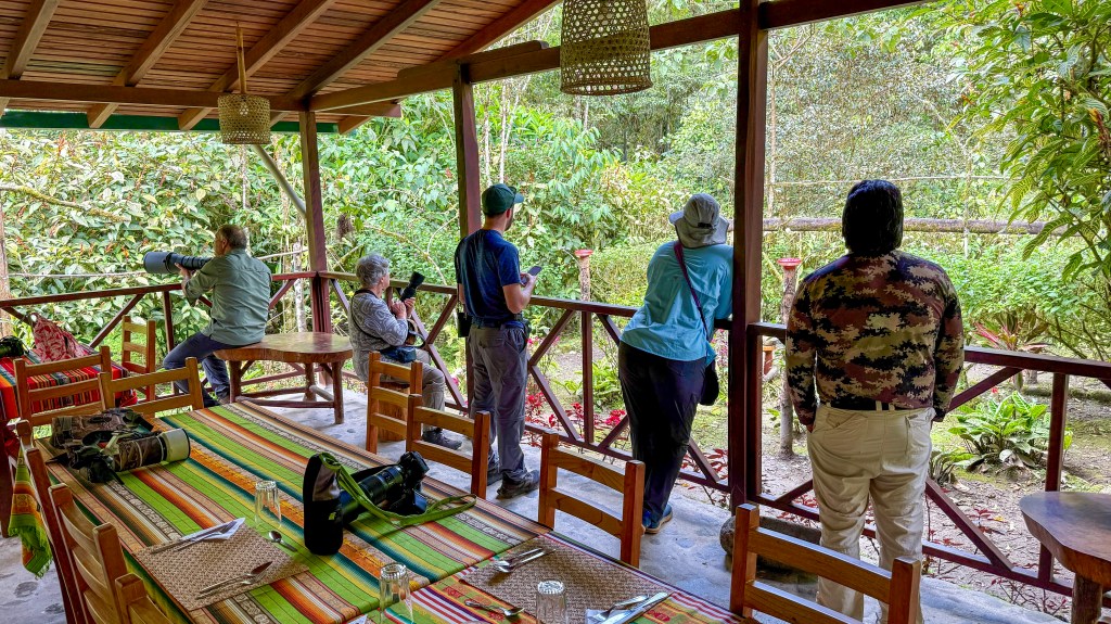A group of people observing nature from a wooden balcony, some using binoculars and cameras, with lush greenery in the background.