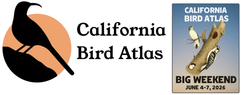 Logo for California Bird Atlas featuring a bird silhouette and text promoting a big weekend event from June 4-7, 2026.