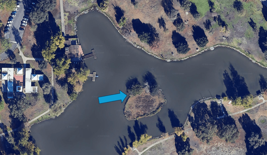 Aerial view of a park featuring a winding waterway, an island with trees, and pathways along the shore. A blue arrow points to the island.